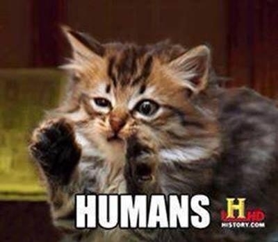 -humans-47221.jpg